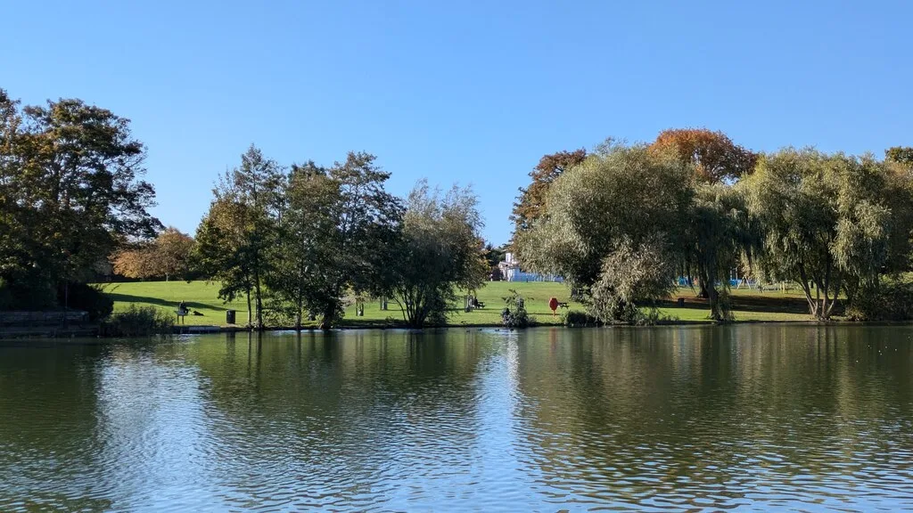 Diss Mere looking towards Mere Park. The leisure centre site lies on the Park Road side of the Mere, beside the park